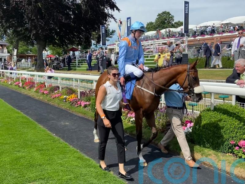 Molecomb mission for York scorer The Platinum Queen