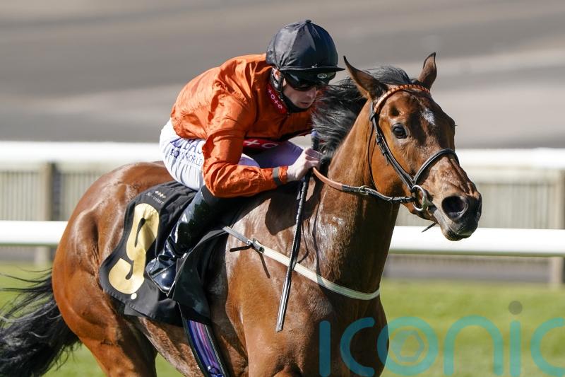 Plans fluid for Double Or Bubble