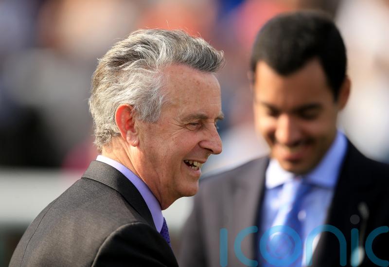 Bolger fields Boundless Ocean in search of ninth Meld success