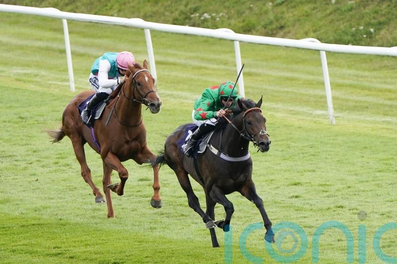 Goodwood Cup return in prospect for Ocean Wind