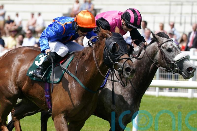 Mr Wagyu strikes Scurry gold for John Quinn