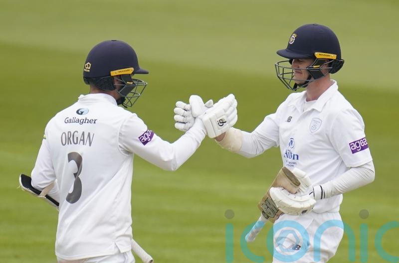 Felix Organ helps Hampshire build solid total against Gloucestershire