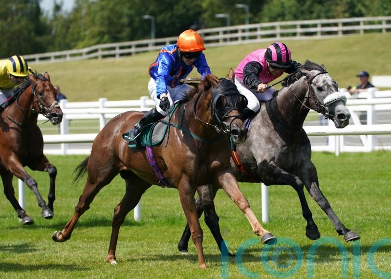 Mr Wagyu given Stewards&rsquo; Cup green light