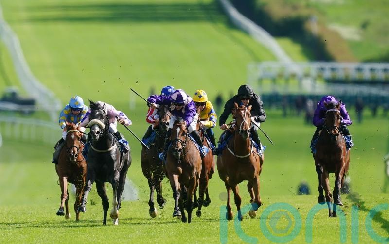 Tagline setting the standard in promise-packed Star Stakes