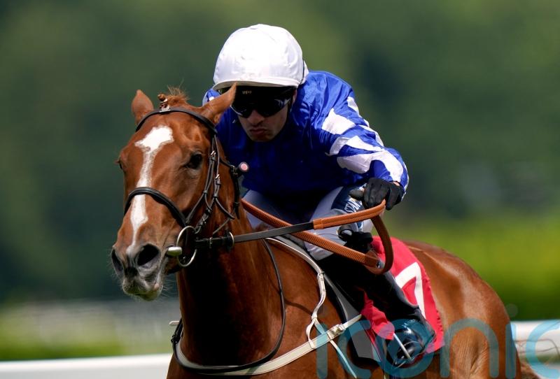 Dance In The Grass looks to have bright future