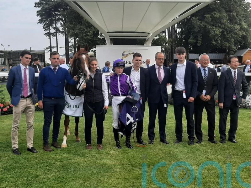 Proud And Regal stays unbeaten with stylish Leopardstown victory