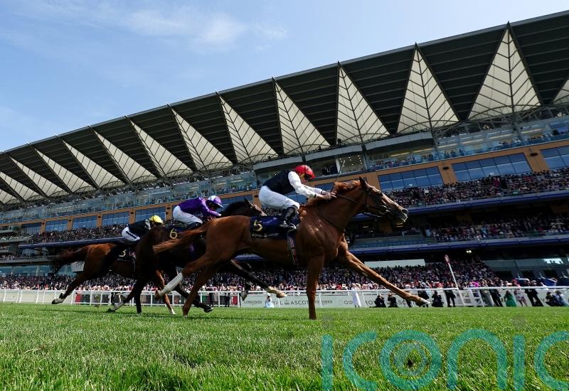 O&rsquo;Brien preparing healthy Goodwood squad