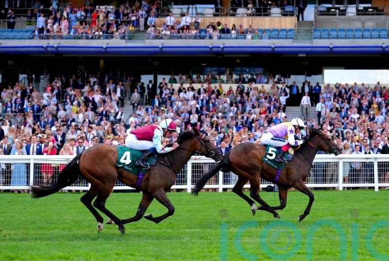 Lezoo lands Princess Margaret honours