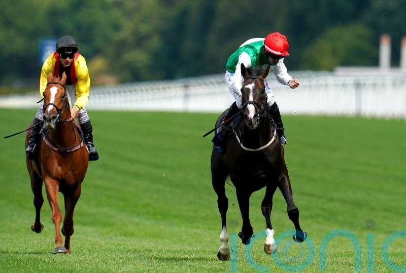 Pyledriver surprises King George rivals with clear-cut Ascot success