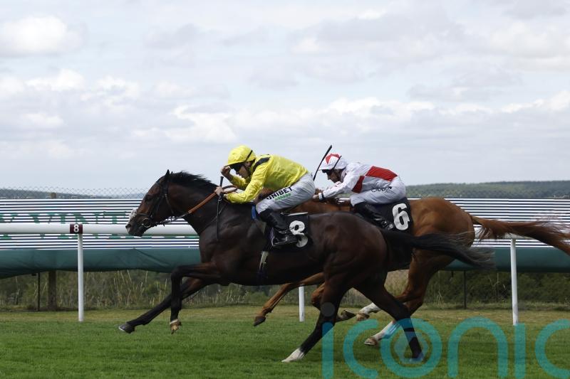 Vintage performance from Marbaan promises much