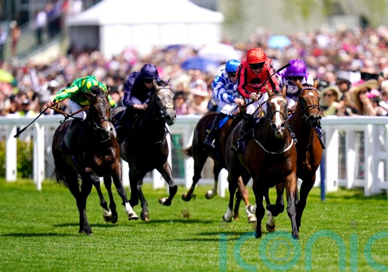 Loughnane confident Walbank can make Molecomb mark