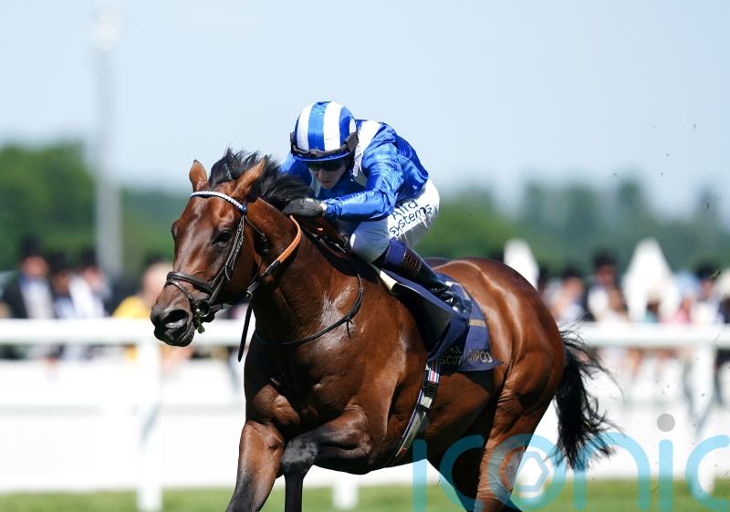 Baaeed all set for Sussex Stakes in what could be miling farewell