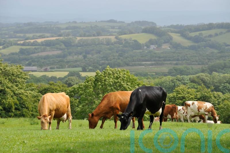 Widespread anger among farming communities over &lsquo;unrealistic&rsquo; emissions target
