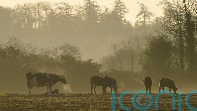 Climate experts raise concerns about emissions cuts falling short of 51% target