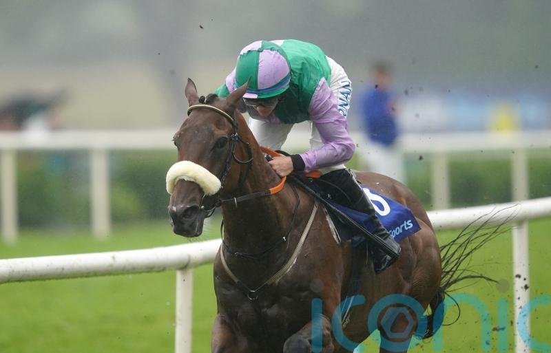 Another Shark attack at Galway as Hallowed Star strolls home for Hanlon