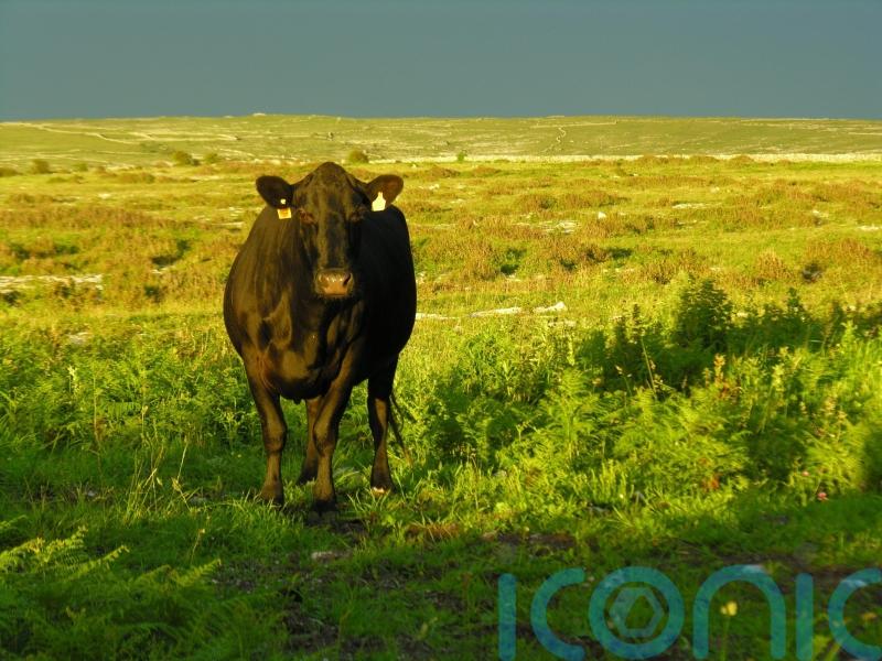 Citizens&rsquo; assembly on agriculture the wrong model, says farming group