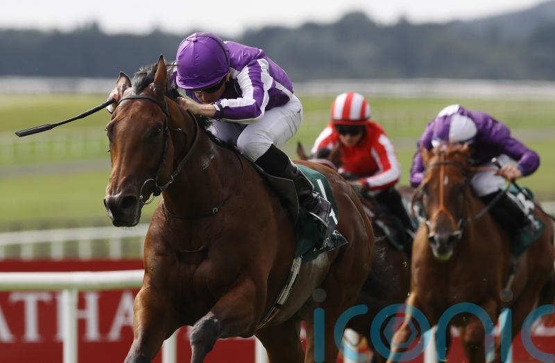 &lsquo;When he let him go it was all over&rsquo; &ndash; Little Big Bear sensational in Phoenix Stakes