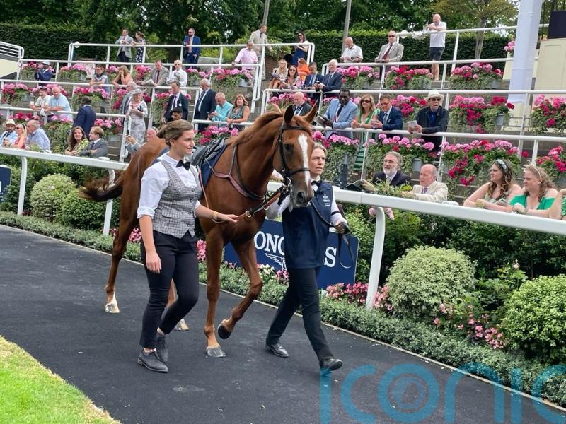 Piechulek&rsquo;s confidence growing in Tasso&rsquo;s Arc repeat bid