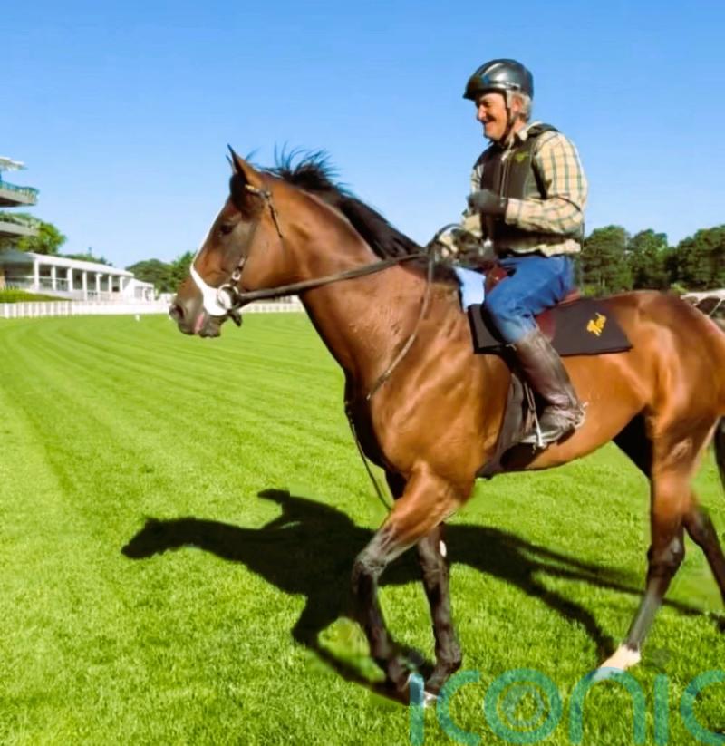 Ward sets out Breeders&rsquo; Cup hat-trick aim for Golden Pal