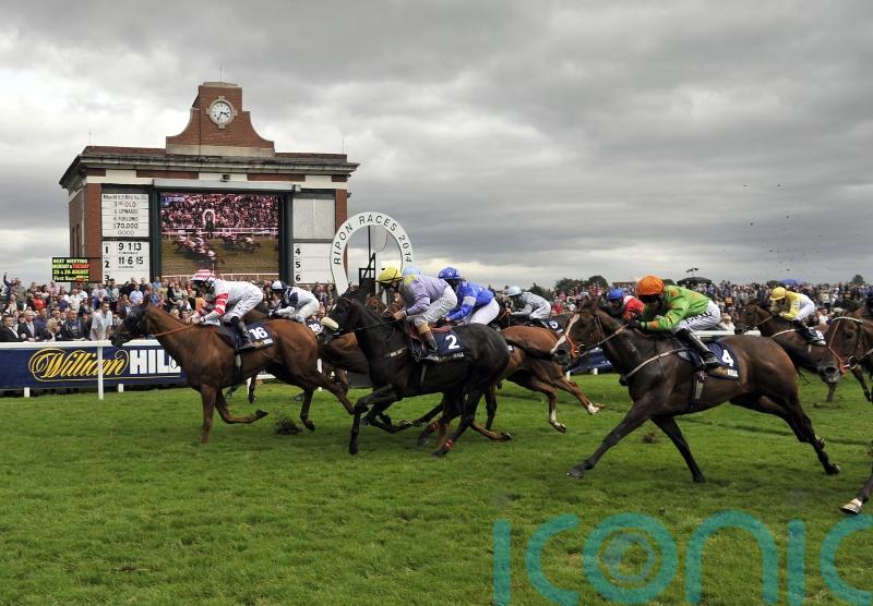 Ripon officials not surprised as Great St Wilfrid draws reduced field