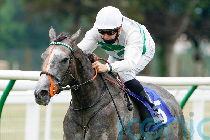 Prescott &lsquo;privileged&rsquo; to train Group One star Alpinista