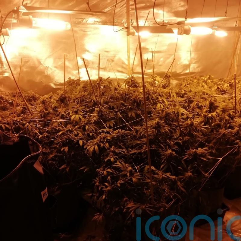 Man charged after seizure of 400,000 euro worth of cannabis at Galway house
