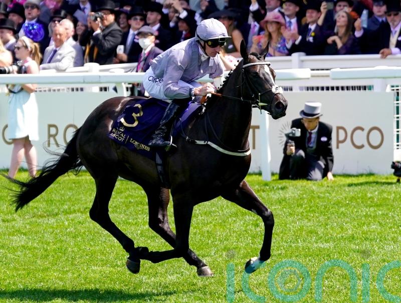 Dramatised aiming for another winning performance at York