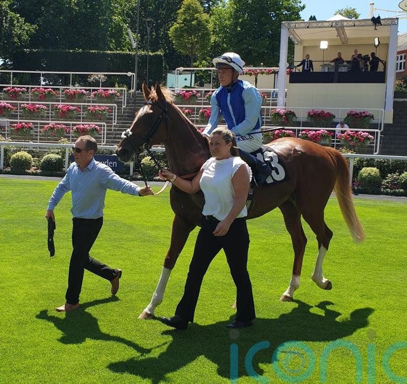 Defence facing Solario &lsquo;acid test&rsquo; for Chapple-Hyam