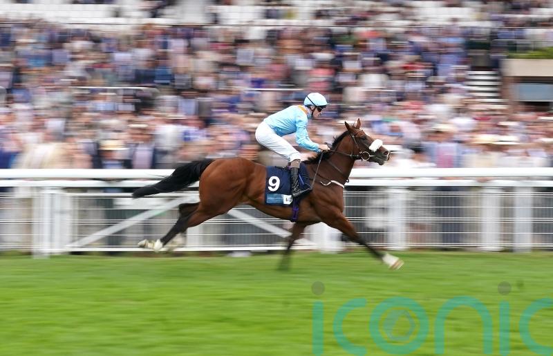 The Platinum Queen does Middleham Park team proud