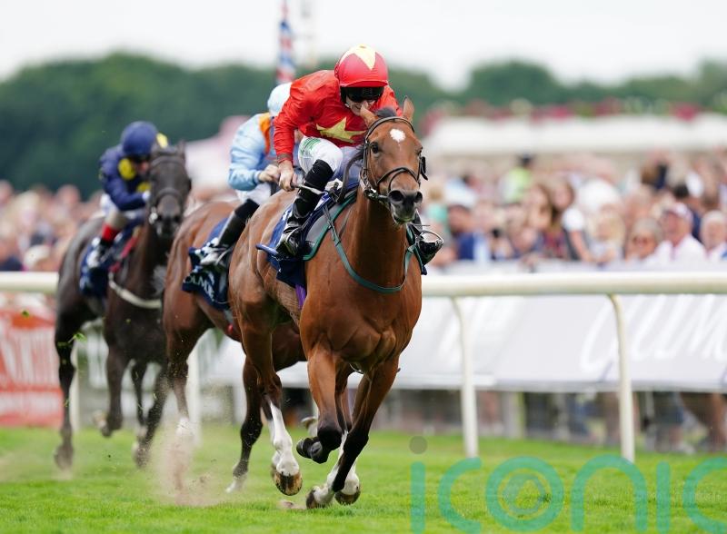 Highfield Princess is truly a dream come true for Quinn