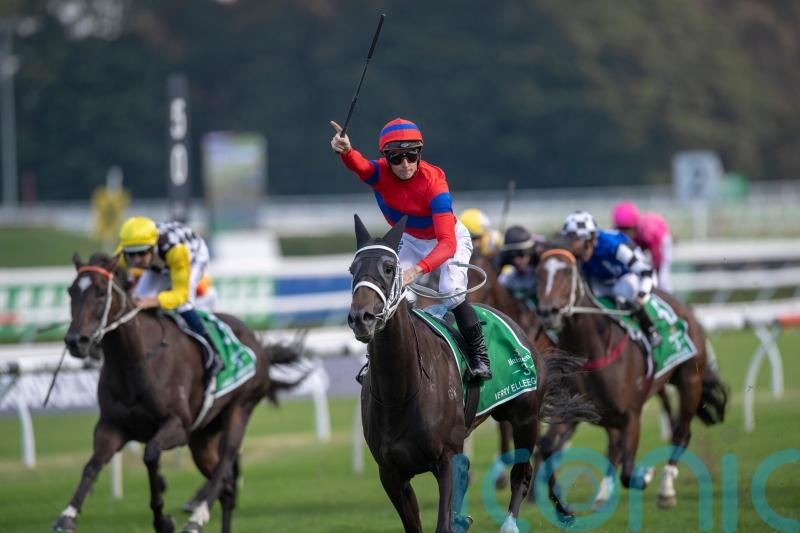 Dettori eager to see what Verry Elleegant can do