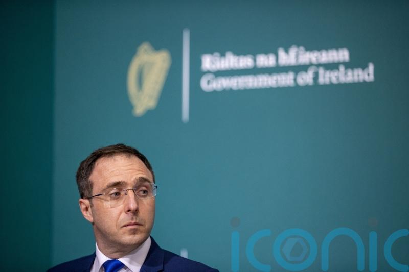 Ryan calls for two investigations into Robert Troy&rsquo;s &lsquo;significant errors&rsquo;