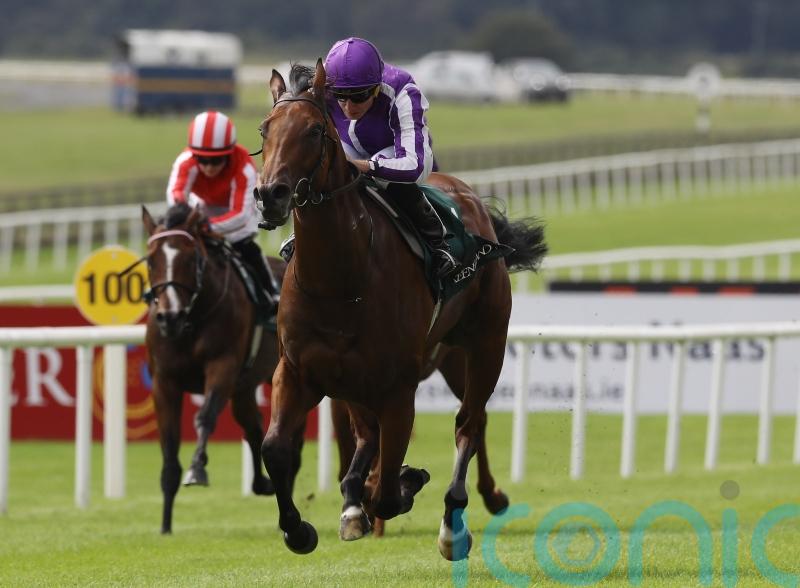 &lsquo;Sore&rsquo; Little Big Bear set to miss National Stakes