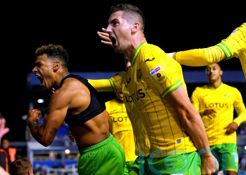 Onel Hernandez hurts Birmingham with last-gasp winner for in-form Norwich