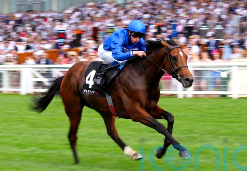 Naval Power sets sail for Ascendant honours at Haydock