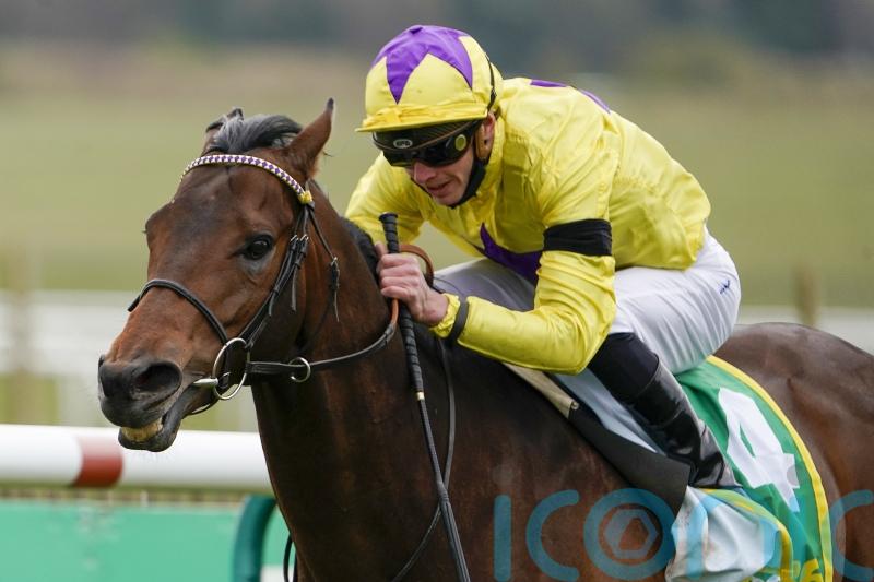 My Oberon to continue his racing career in Australia