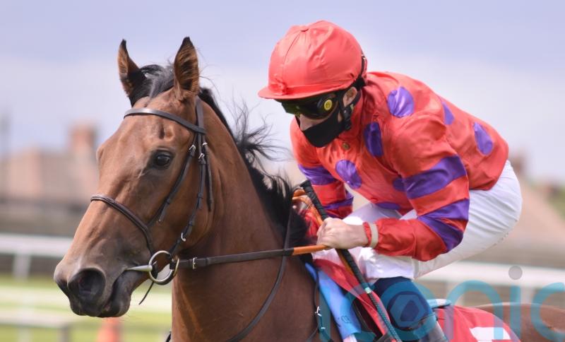 &lsquo;Serious performance&rsquo; from Dreamloper points towards Breeders&rsquo; Cup