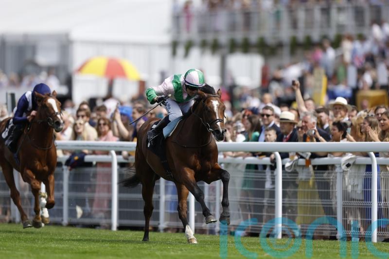 Smart options remain open to Royal Scotsman