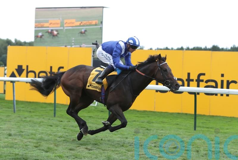 Sprint Cup hero Minzaal retired due to injury