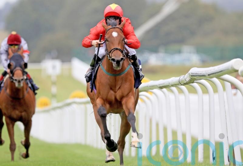 &lsquo;Phenomenal&rsquo; Highfield Princess unstoppable at the Curragh