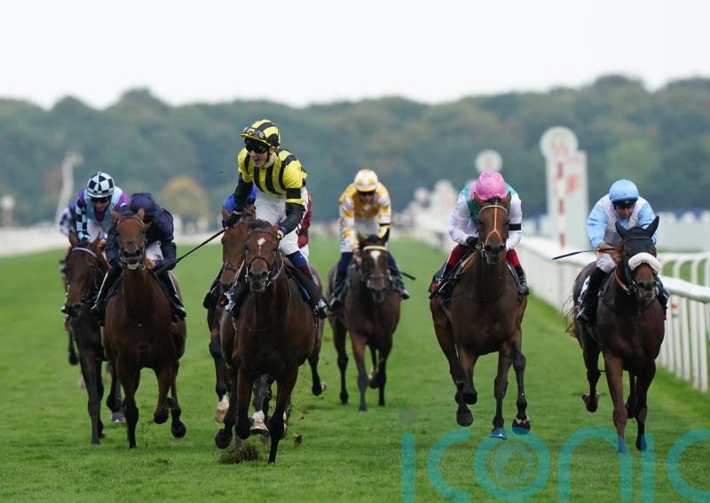 Beckett confirms intention to appeal Leger demotion of Haskoy