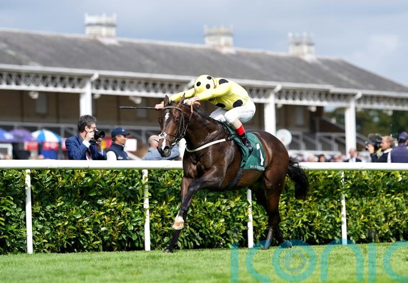 Late call, but Cold Case could make swift Mill Reef reappearance