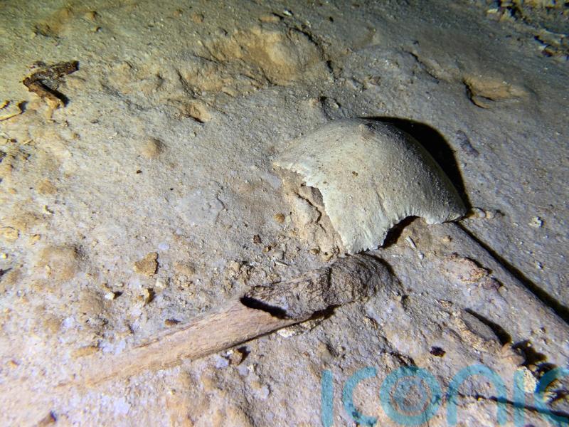 Prehistoric human skeleton found in cave
