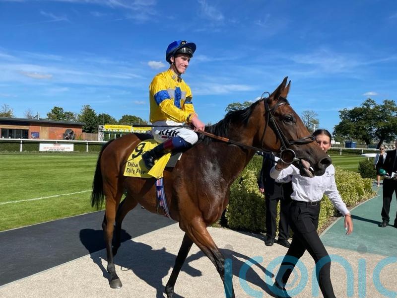 Newbury victory books Champions Day ticket for Stay Alert