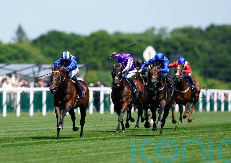 Ascot gearing up for Baaeed&rsquo;s Champion Stakes swansong