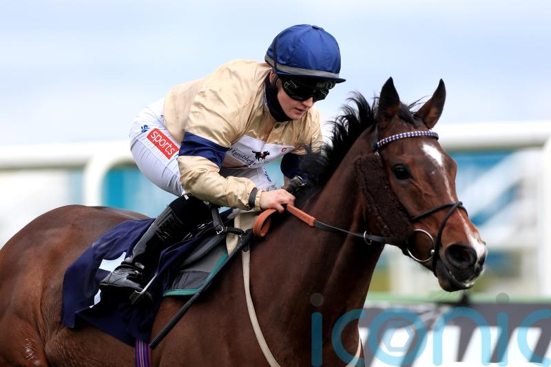 Outbox edged out in thrilling finish at Bro Park