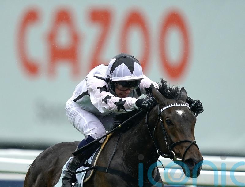 Oscula ready to go roll again with busy autumn coming up