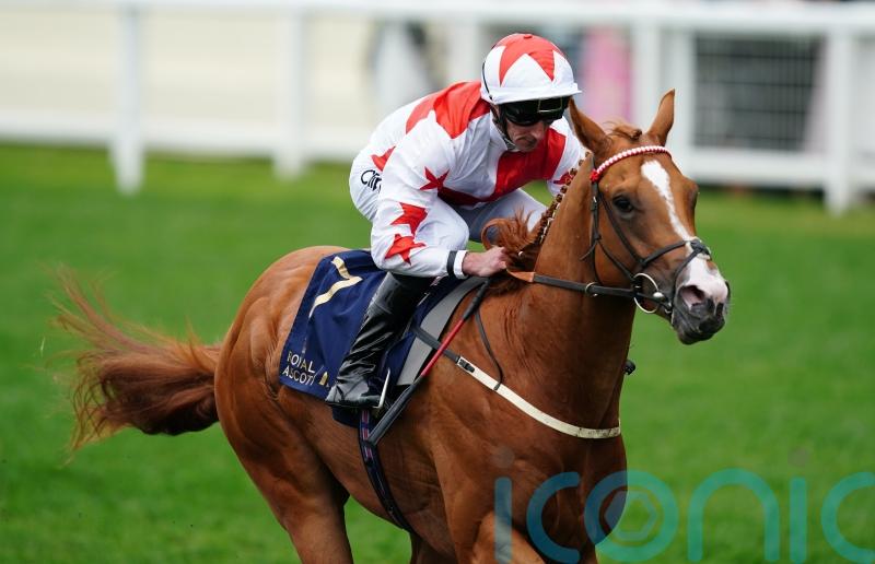 Smart colts face off in fascinating Tattersalls Stakes