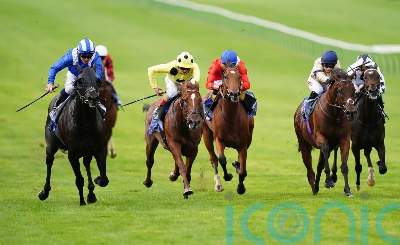 Mutasaabeq puts it all together for Joel Stakes victory