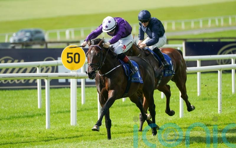 Crypto Force banks Beresford cash